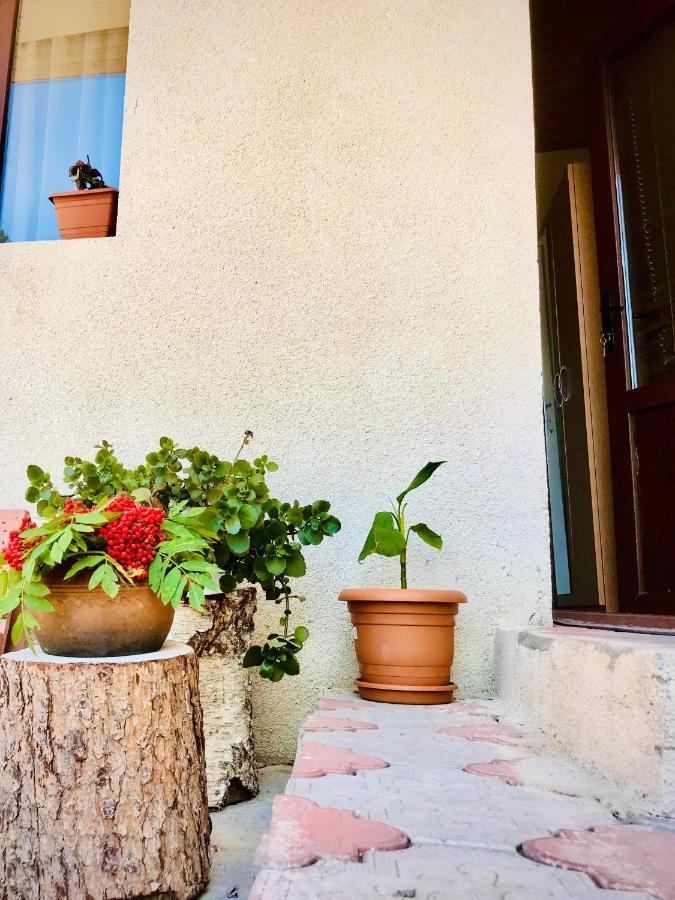 Guesthouse And Cottage Nicolo كازباجي المظهر الخارجي الصورة