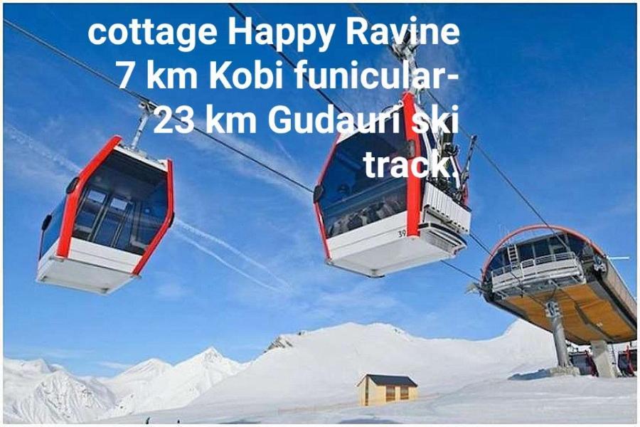 Guesthouse And Cottage Nicolo كازباجي المظهر الخارجي الصورة