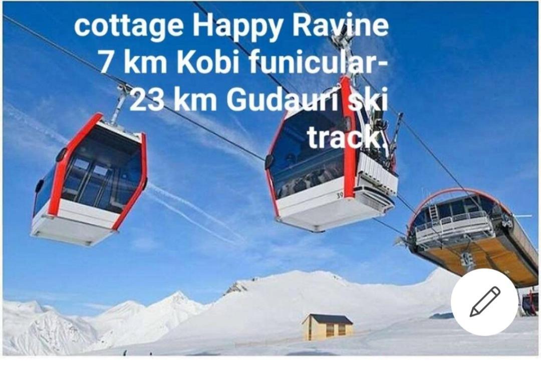 Guesthouse And Cottage Nicolo كازباجي الغرفة الصورة